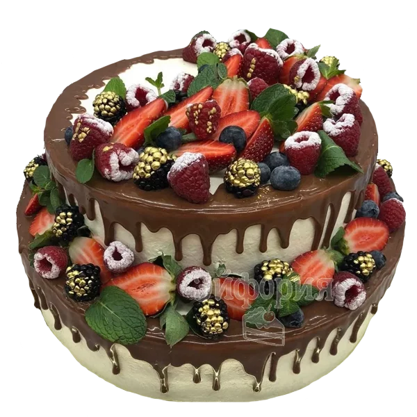 Фруктовый торт с шоколадом на день рождения