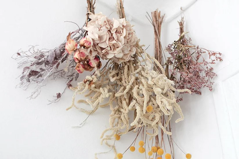 Сухоцветы в интерьере: композиции из сухих трав и цветов своими руками.Идеи букетов с сухоцветами в вазах на столе