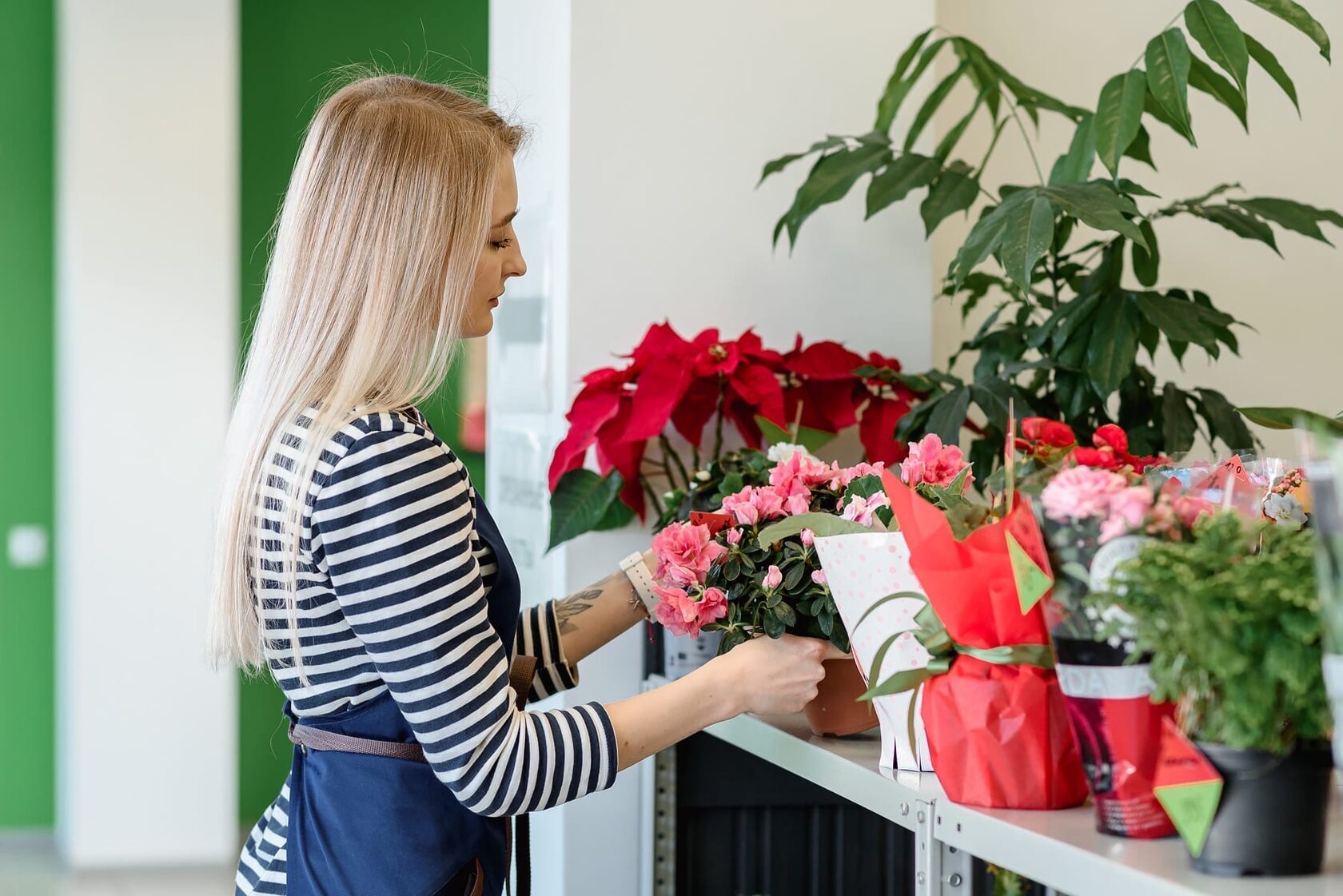 Открыть цветочный магазин по франшизе Цветобаза | Купить франшизу.ру