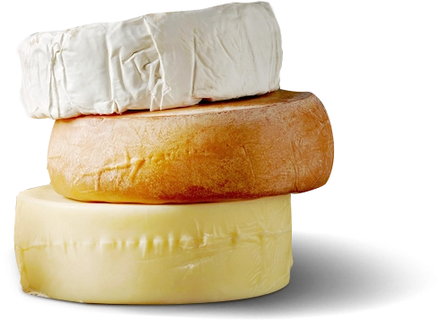 Натуральный Сыр Фото