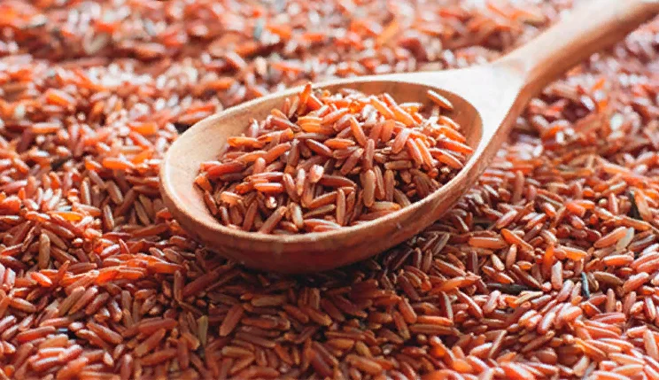 Польза и вред рубинового риса для женщин