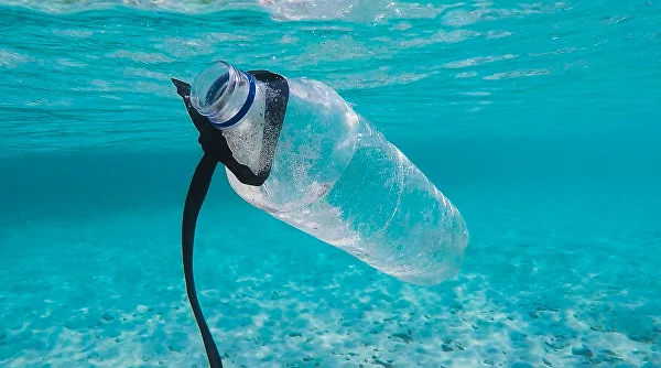 Sohow many plastic water bottles are used every year? — Open Water
