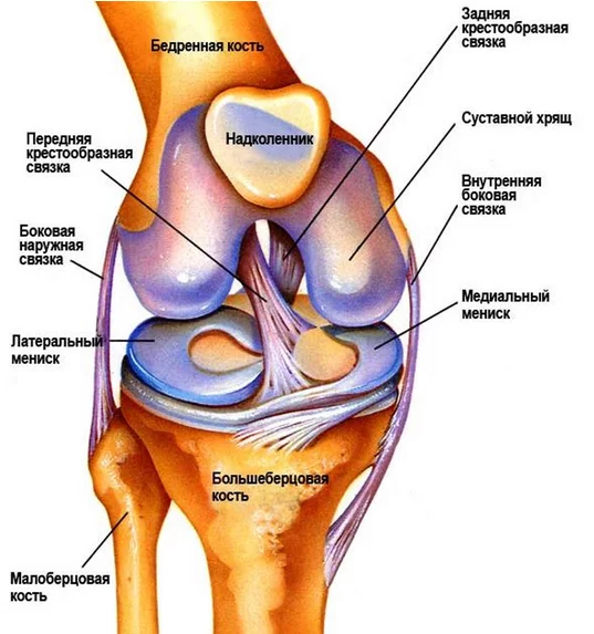 Почему болит колено сбоку с внешней стороны?