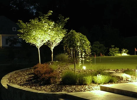 Светодиодная подсветка деревьев в саду загородного дома