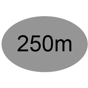 250m