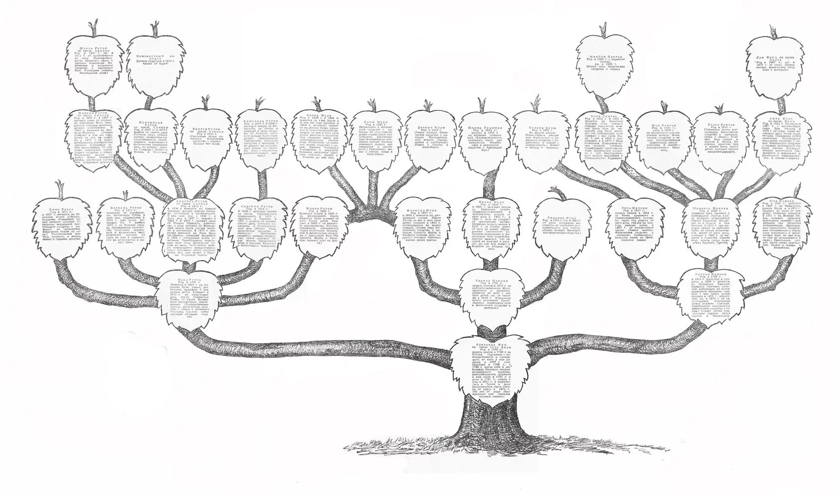 Семейное дерево рисунок