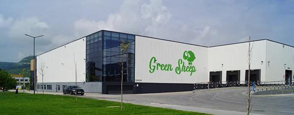 Green sheep company clearance