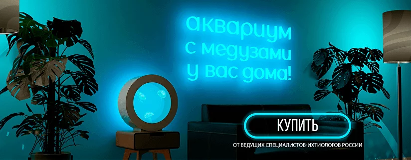 Акула Интернет Магазин Официальный Сайт На Русском