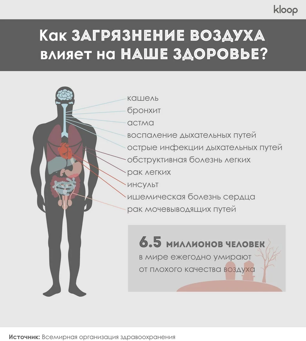 Как мы дышим диоксидом азота — опасным антропогенным газом