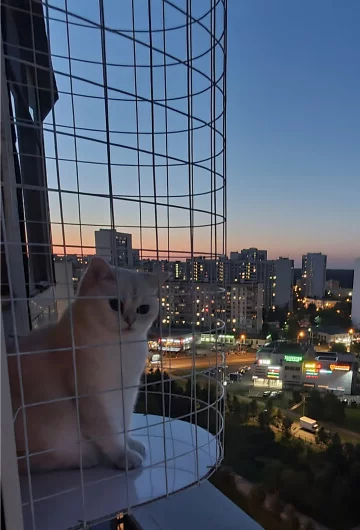 Съёмный кошачий балкончик 