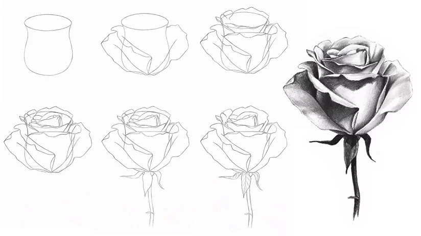 Как нарисовать розу новичку - пошаговый гайд. Подробно