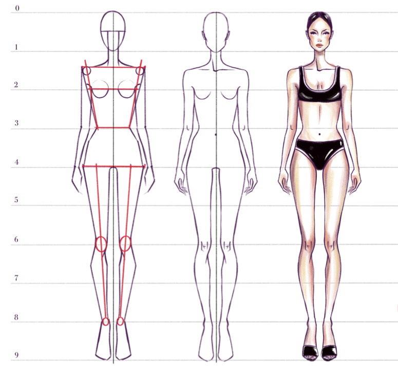 How to draw a fashion figure for a beginner