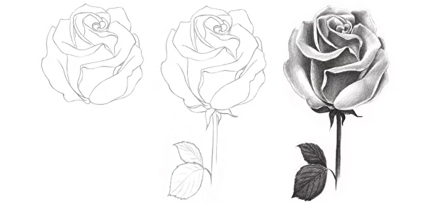 Pencil Sketch Rose Bouquet - AI Generated Artwork - NightCafe Creator-saigonsouth.com.vn