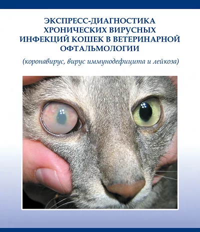 Вирусные инфекции кошек: лейкемия (FeLV), иммунодефицит (FIV) Диагностика в  практической ветеринарии