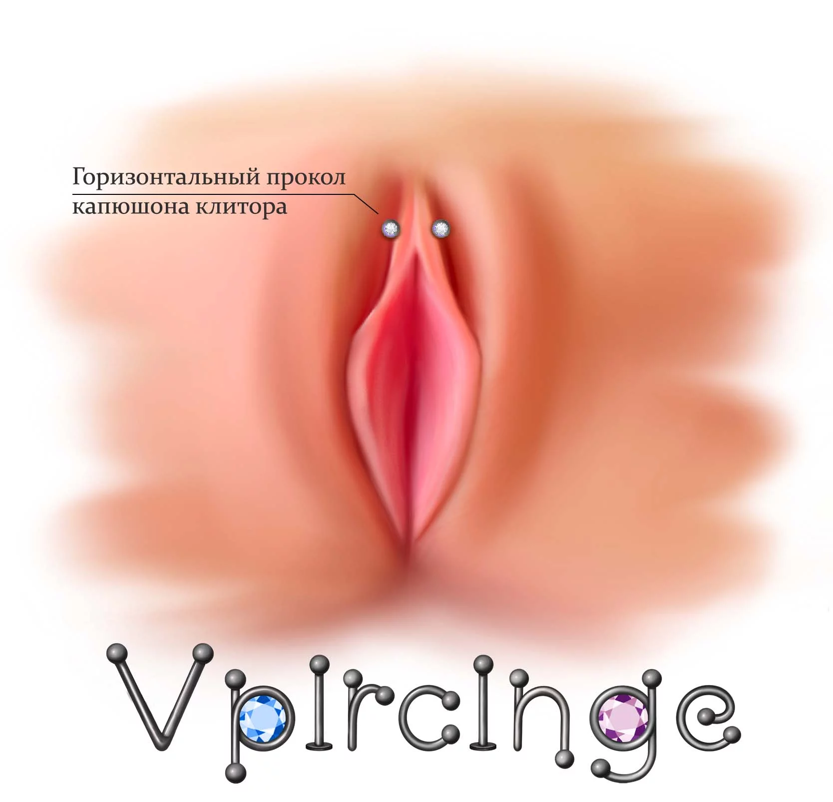 Эротика виды женских половых органов (61 фото) - порно и фото голых на поддоноптом.рф