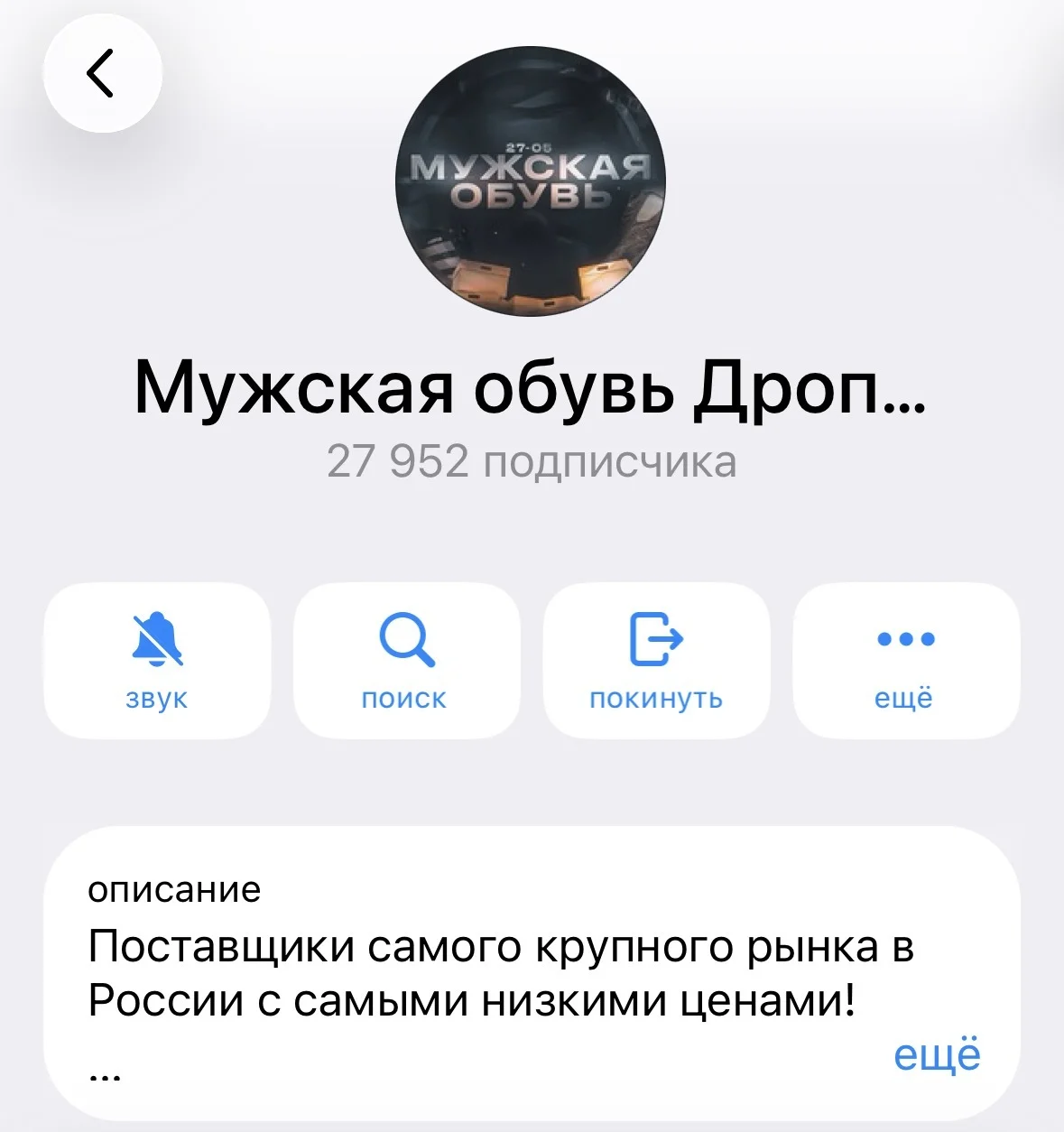 Подписчики 1