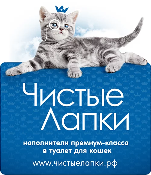 Коты Петербурга Магазин