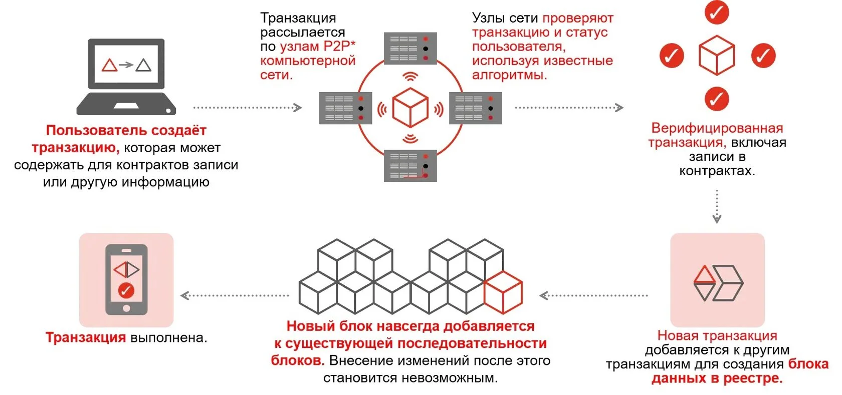 Что такое сеть блокчейна?