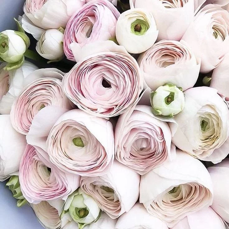 Популярные букеты цветов для девушки | Rose Studio